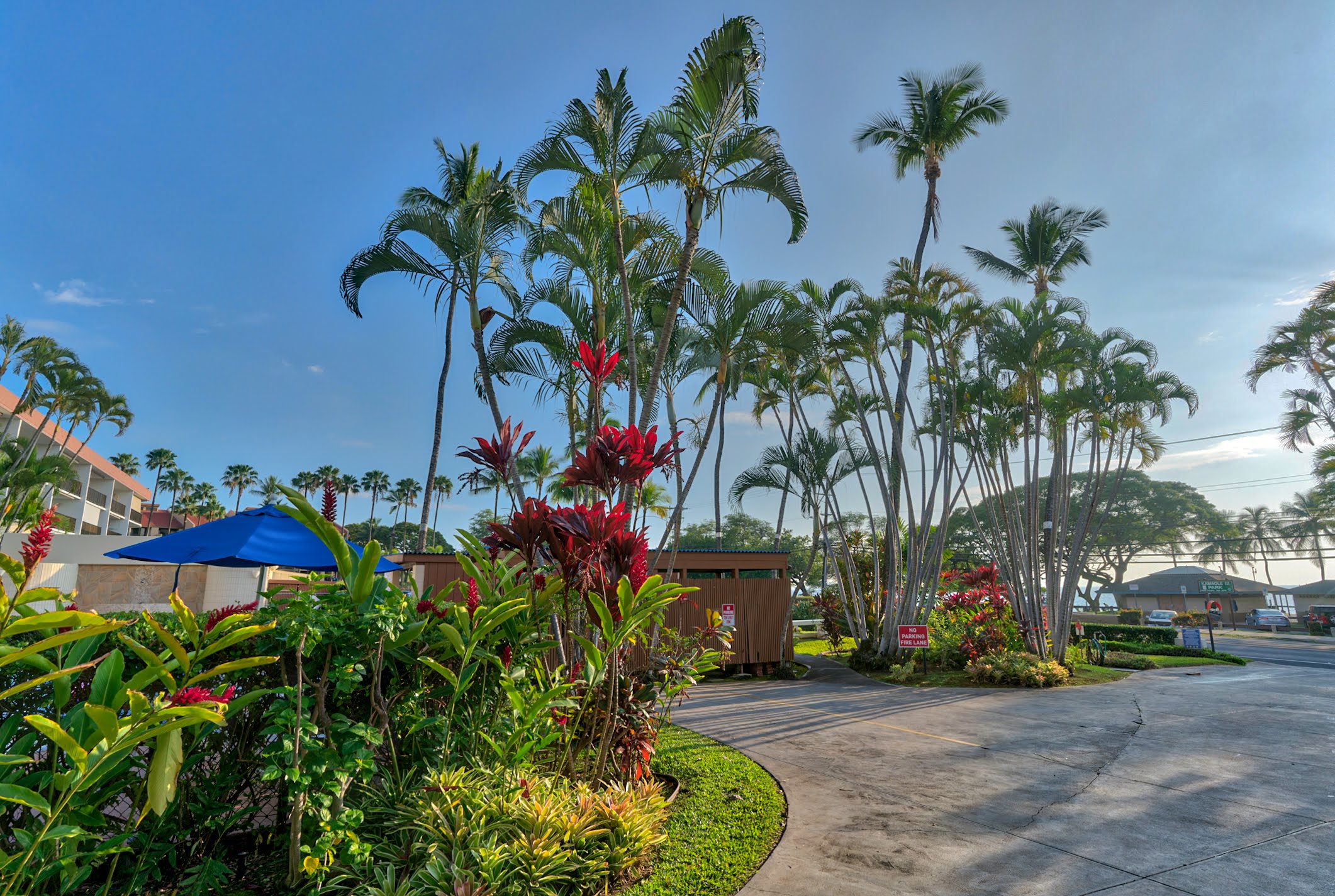 Wailea Condo 978113