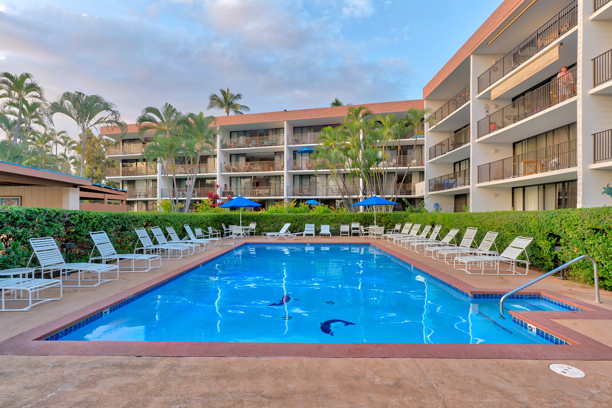 Wailea Condo 978113