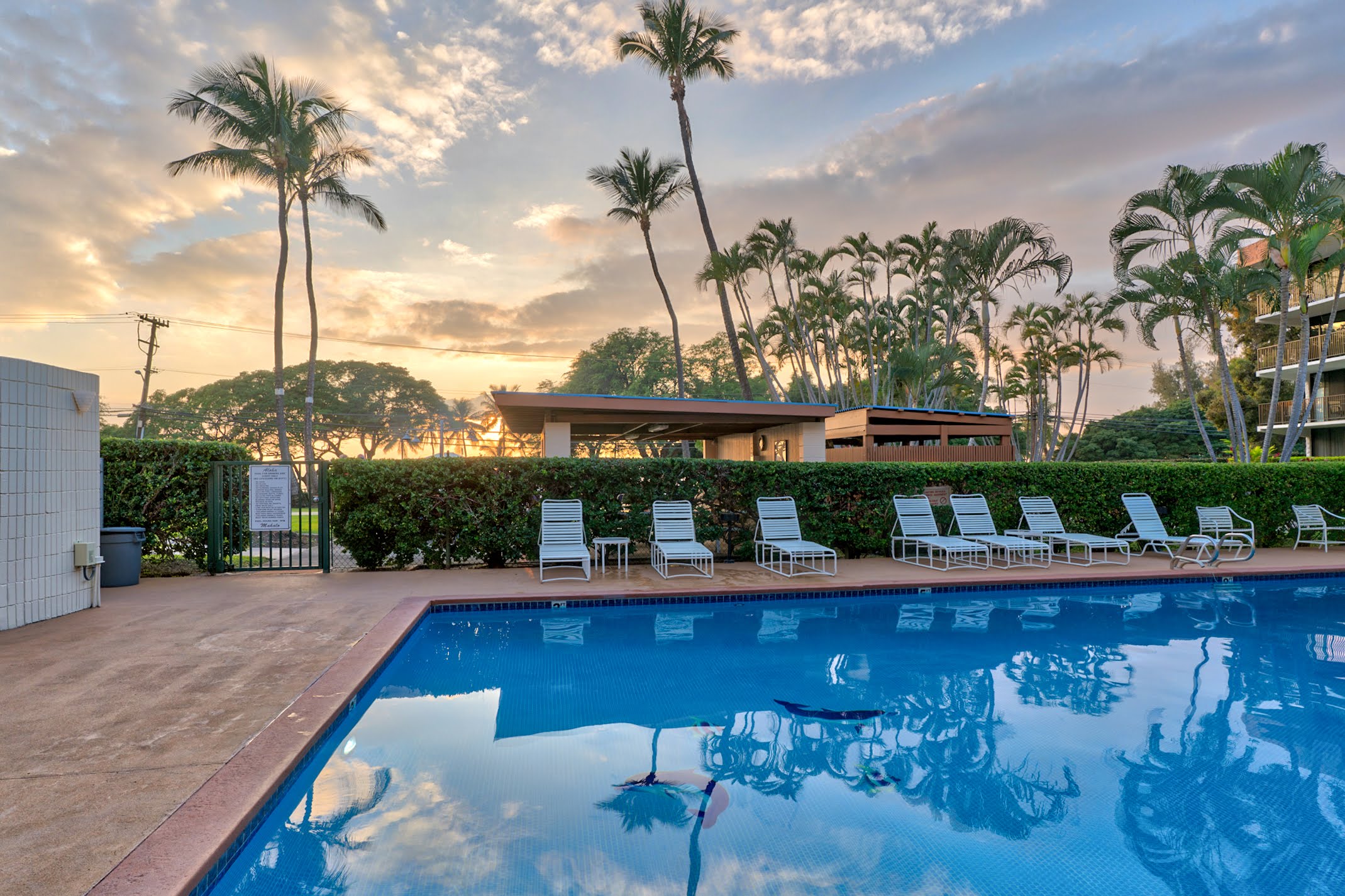 Wailea Condo 978113