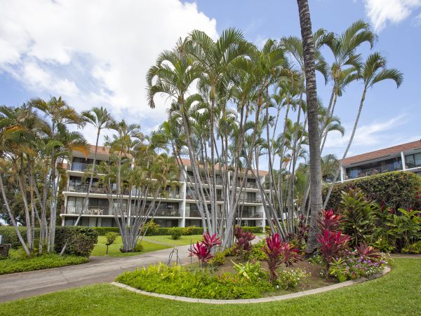 Wailea Condo 978114