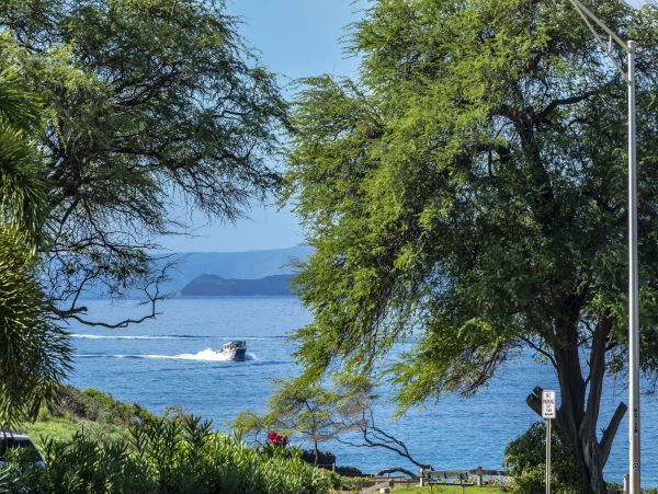 Wailea Condo 978114