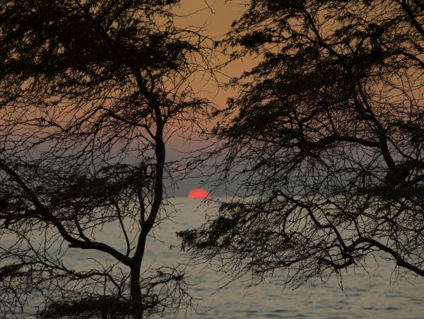 Kihei Rental: Lanai, Pool, Walk to Beaches & Shops