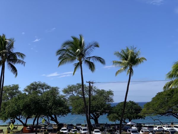 Wailea Condo 978116