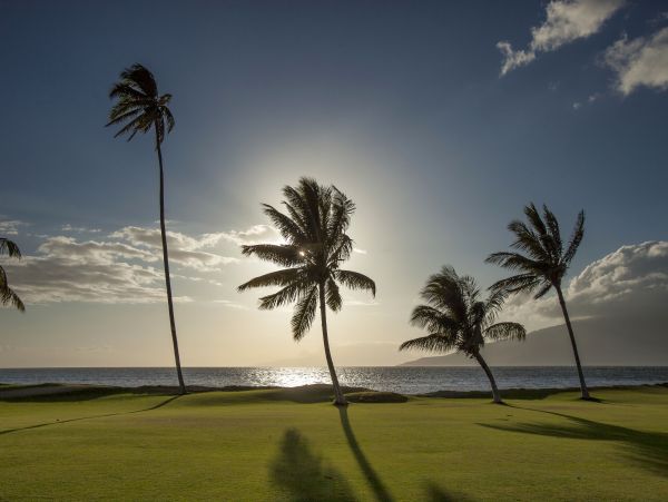 Kihei Condo 978118