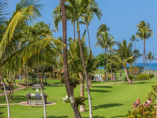 Kihei Condo 978119