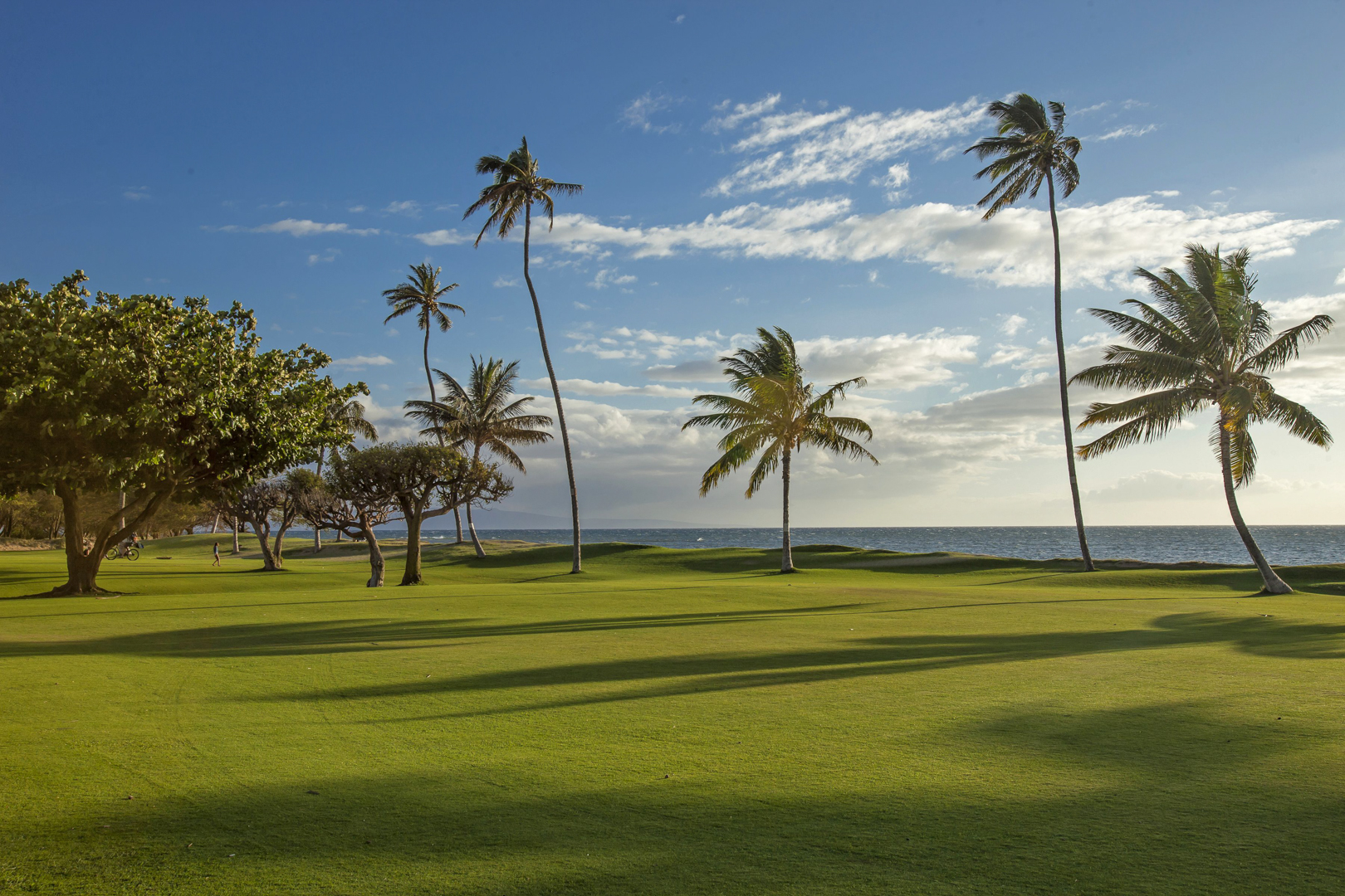 Kihei Condo 978120