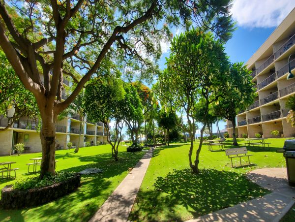 Kihei Condo 978120