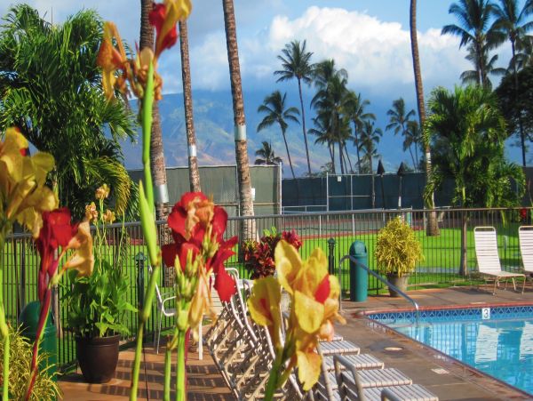 Kihei Condo 978120