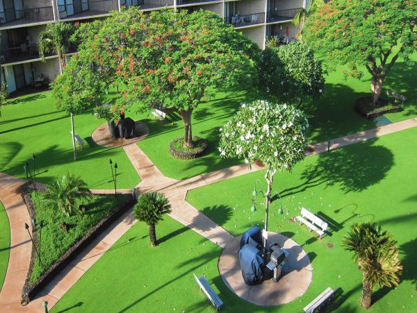 Kihei Condo 978120