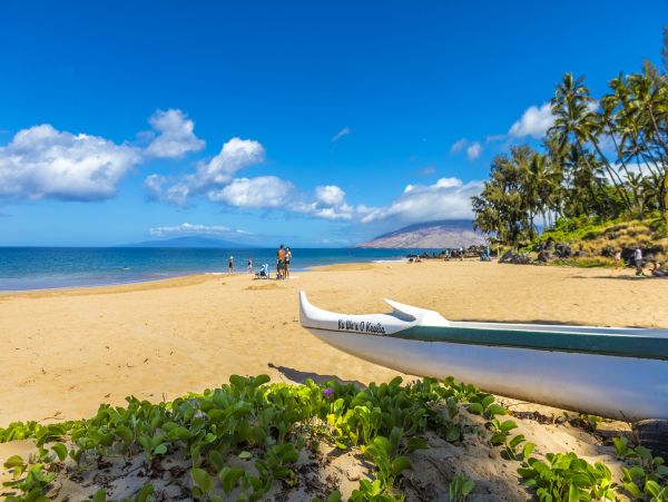 Kihei Condo 978123