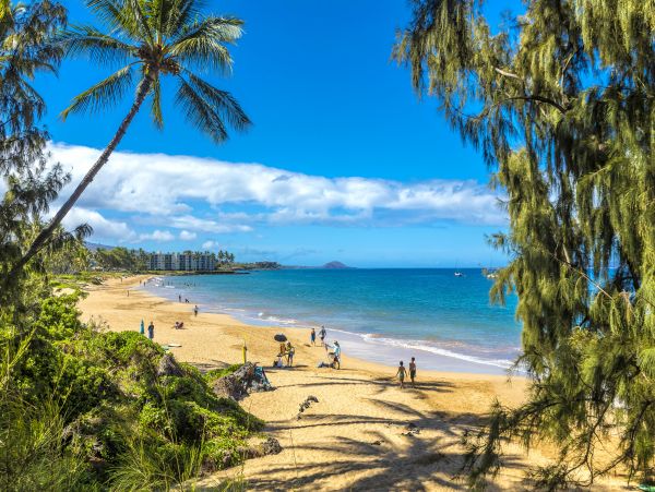 Kihei Condo 978123