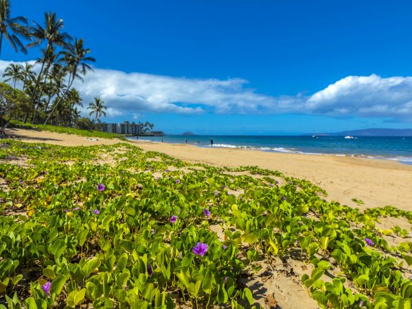 Kihei Condo 978123