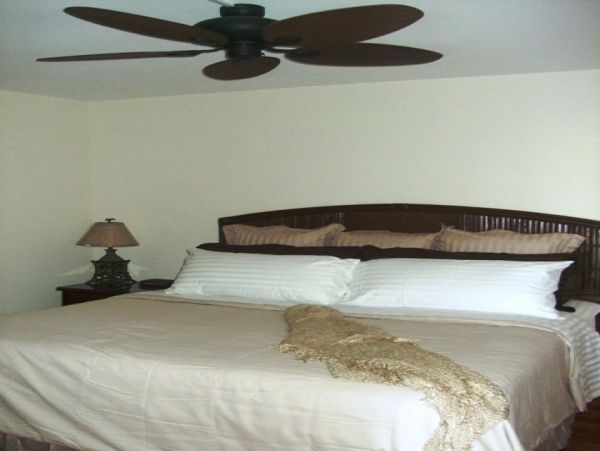 Kihei Condo 978124
