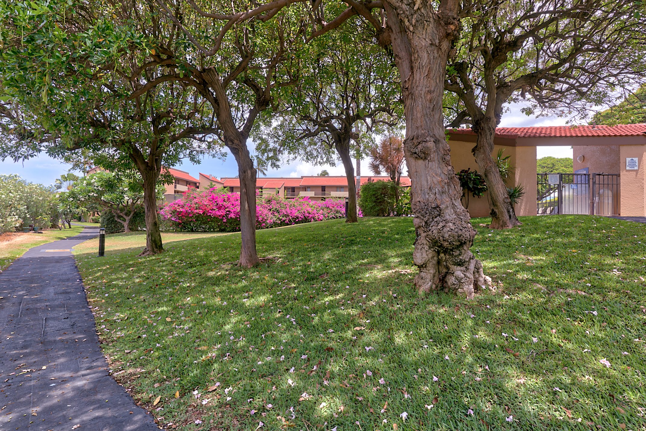 Kihei Condo 978125