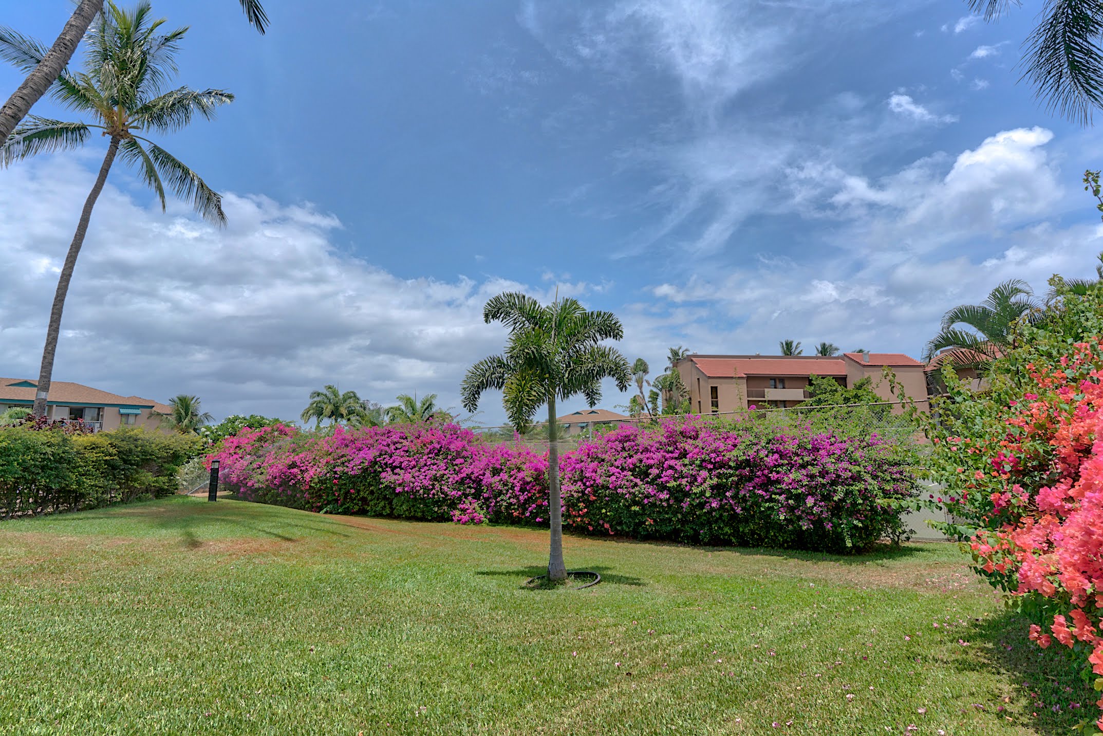 Kihei Condo 978125
