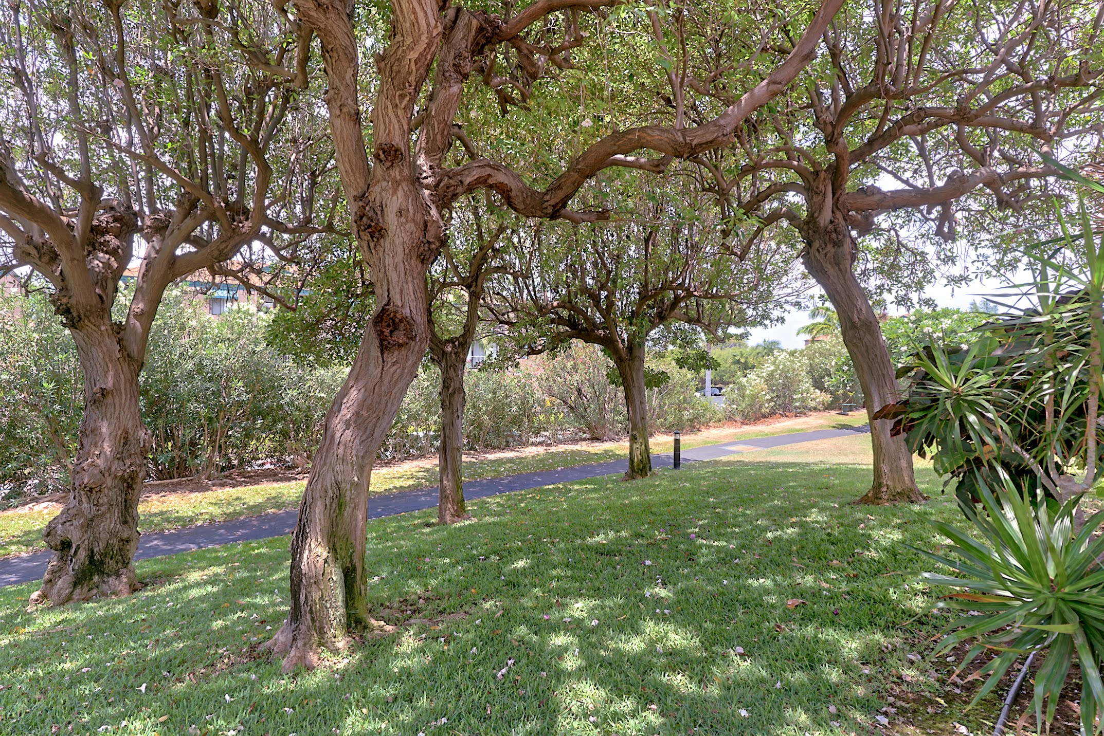 Kihei Condo 978125