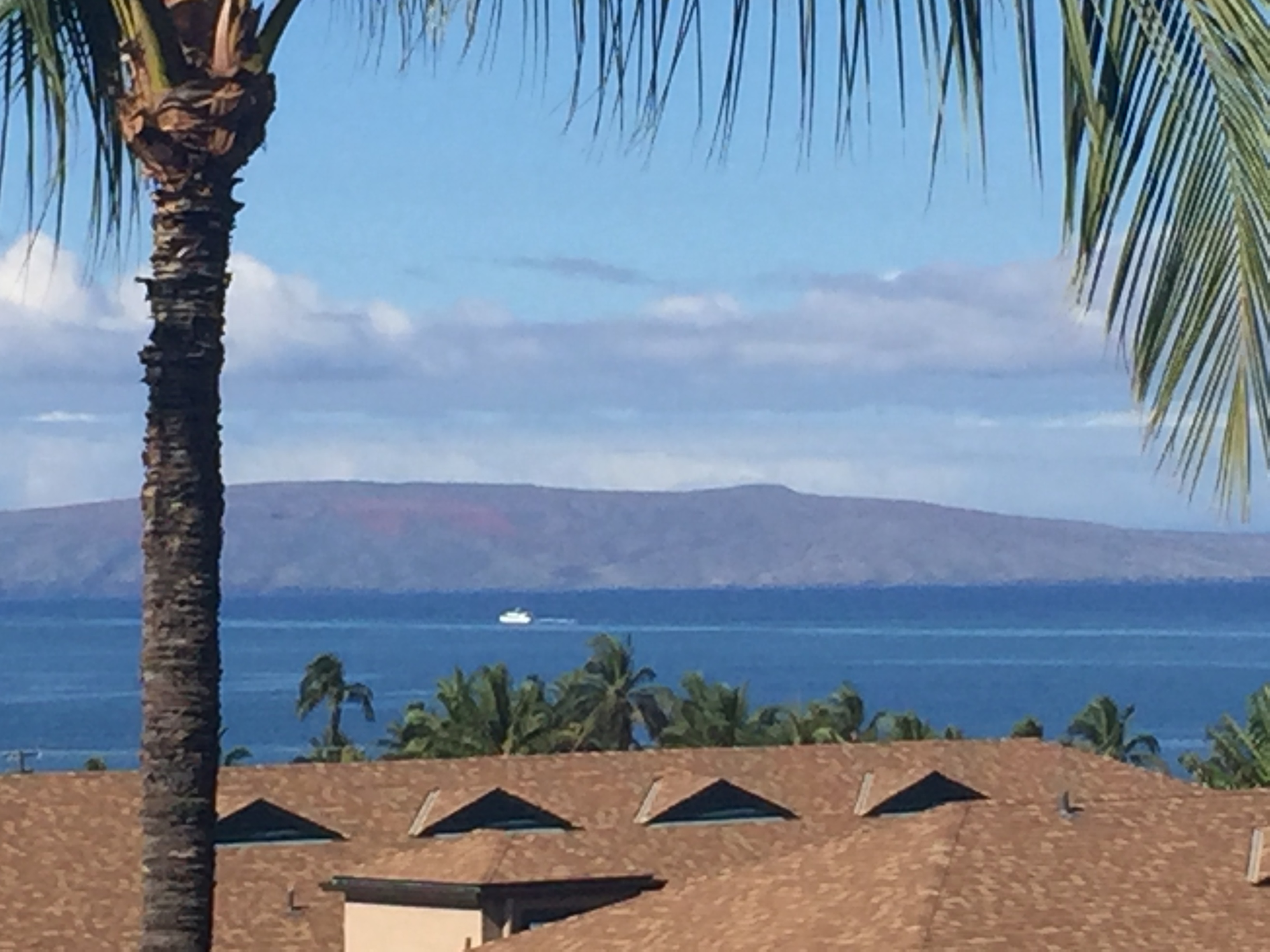 Kihei Condo 978132