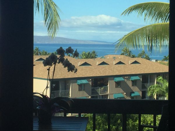 Kihei Condo 978132