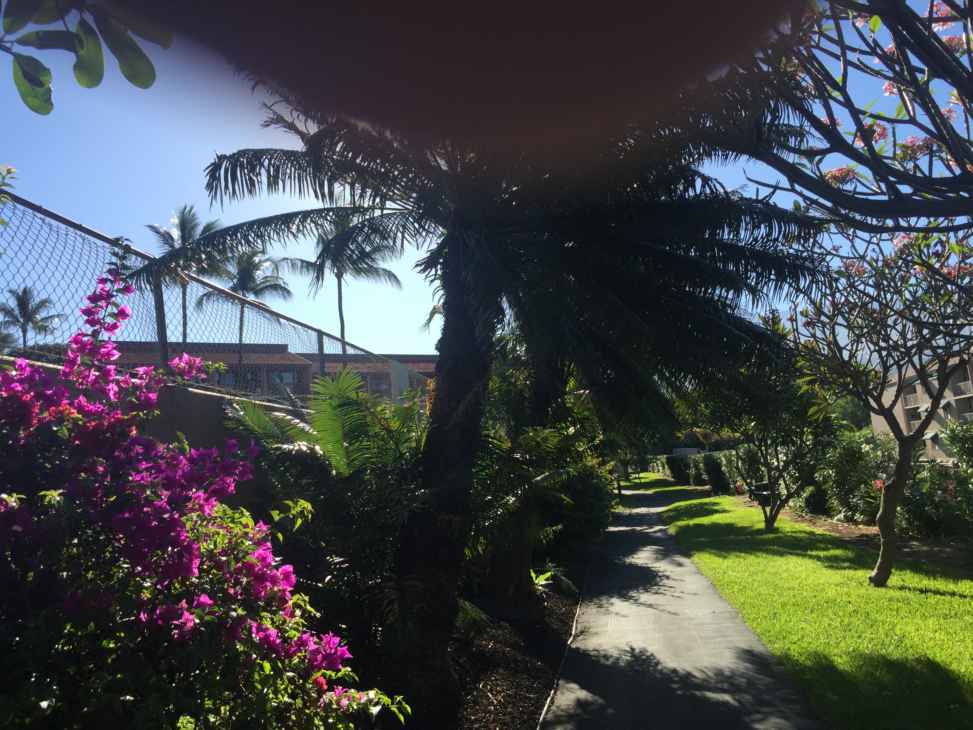 Kihei Condo 978132