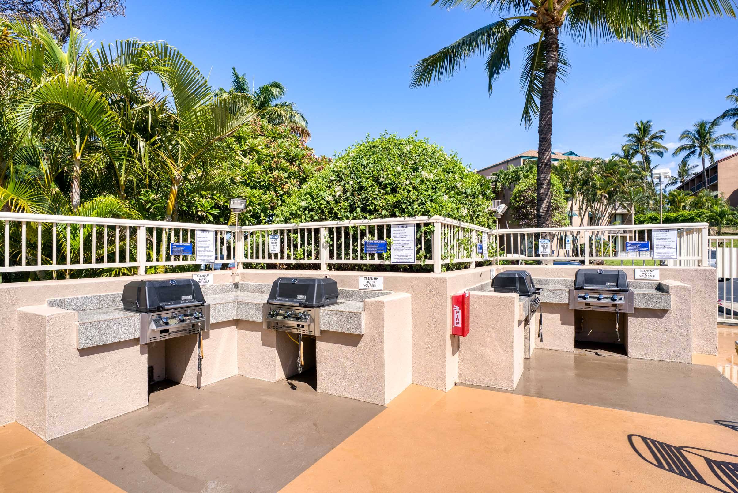 Kihei Condo 978133