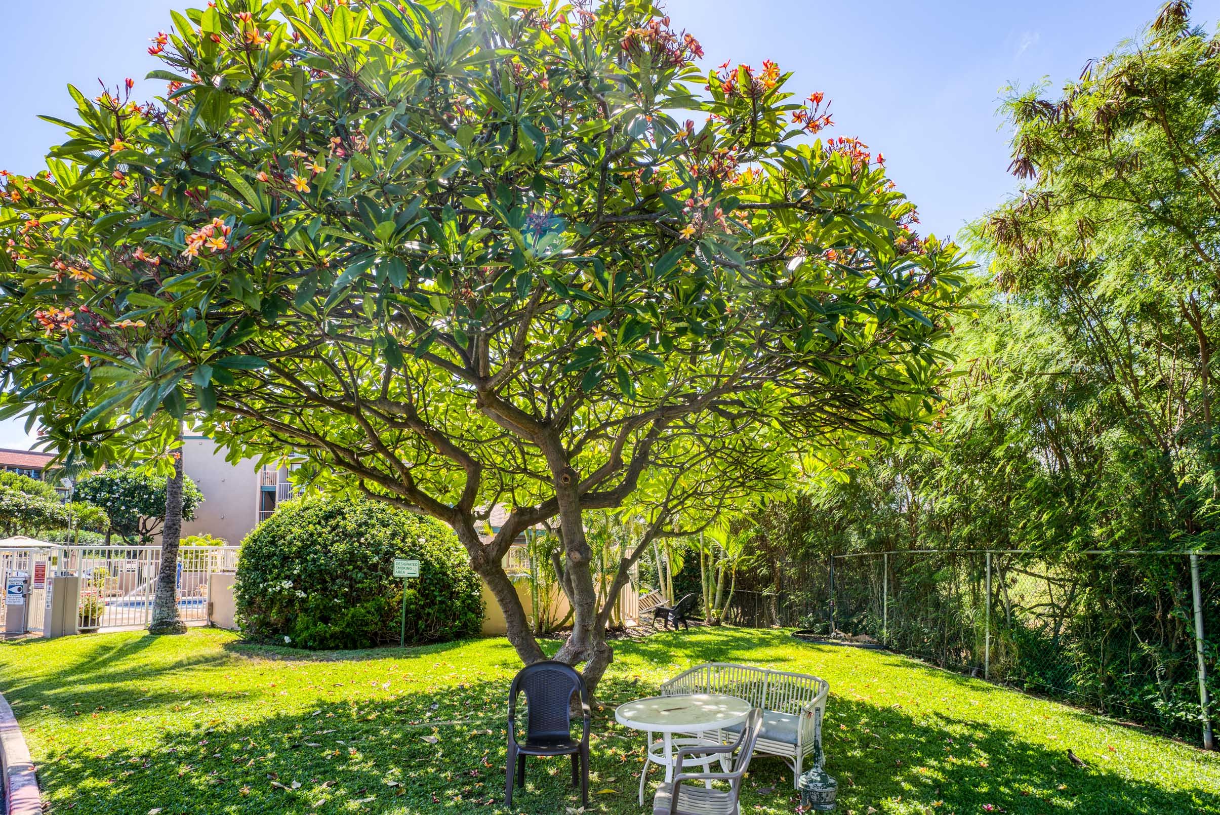 Kihei Condo 978133