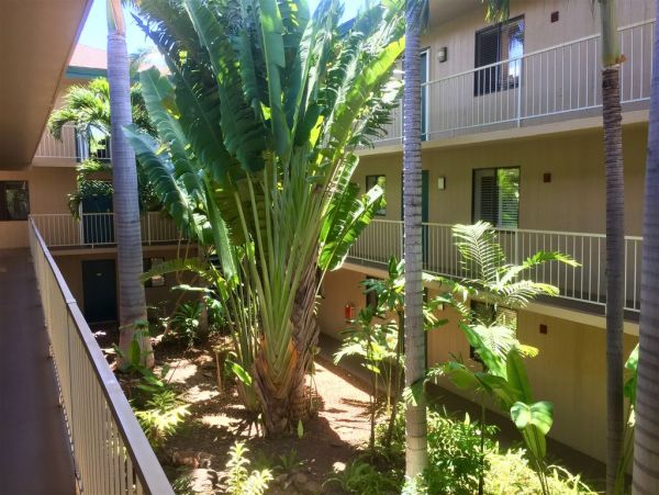 Kihei Condo 978135