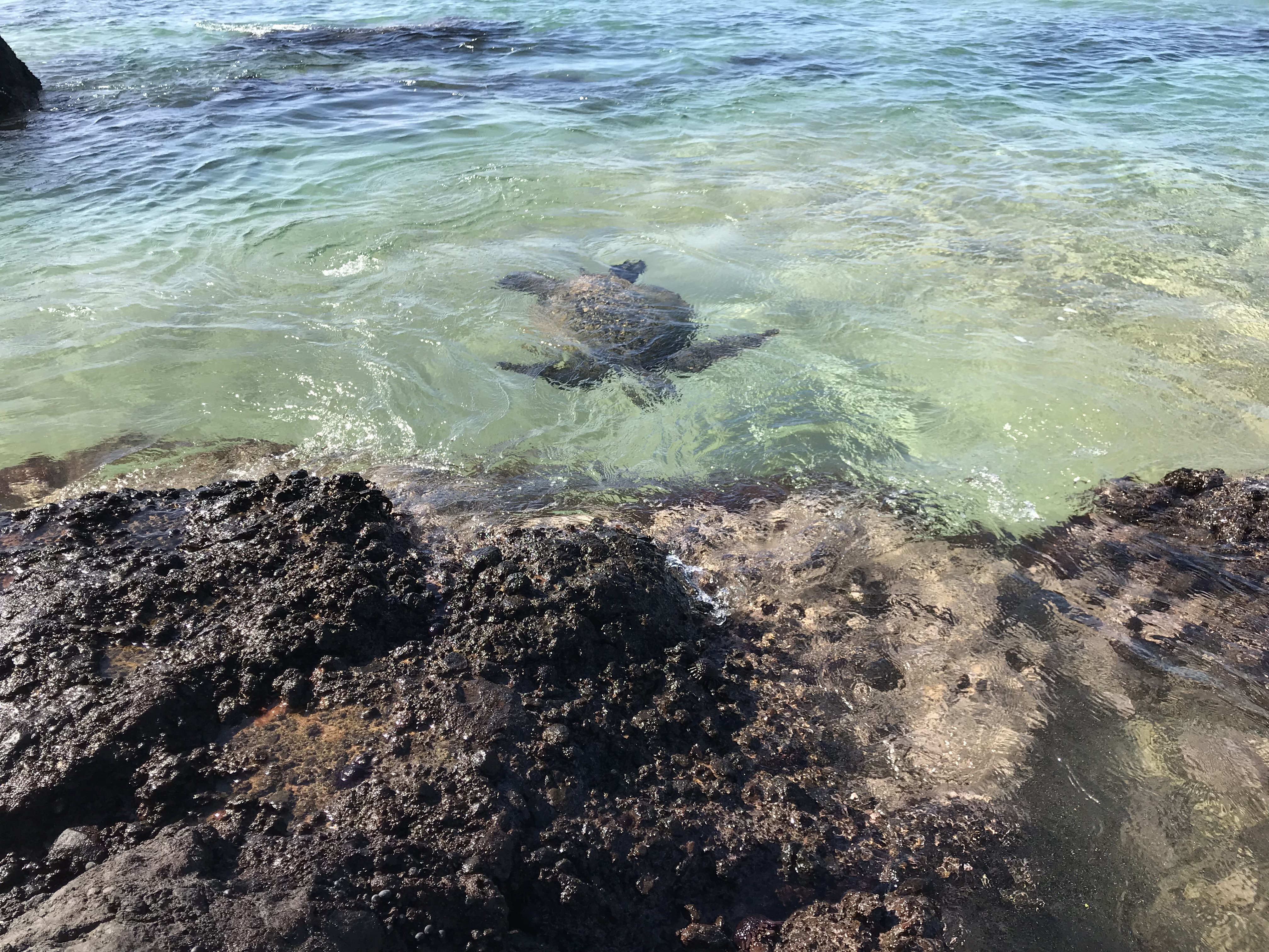 Kihei Condo 978136