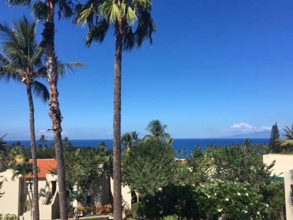 Wailea Condo 978137