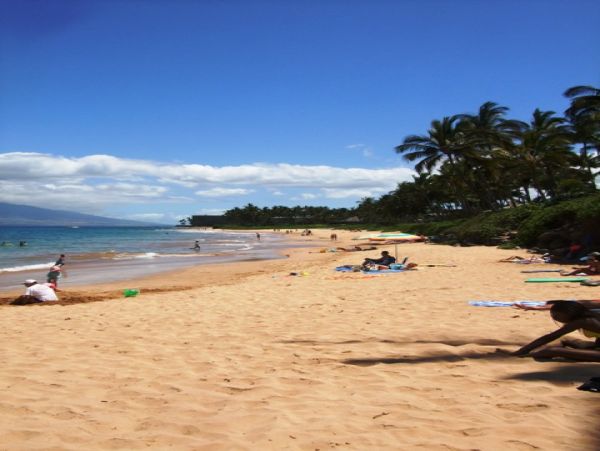 Wailea Condo 978137