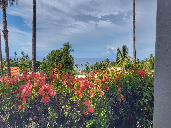 Wailea Condo 978137