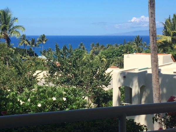 Wailea Condo 978137
