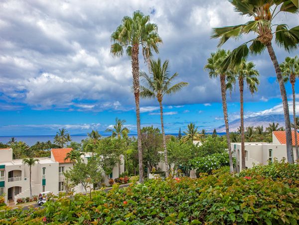 Wailea Condo 978138