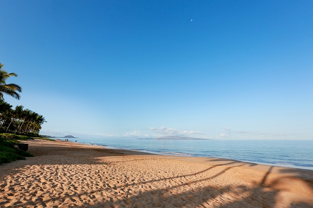 Wailea Condo 978138