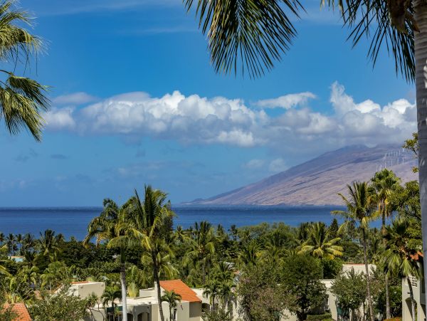 Wailea Condo 978139