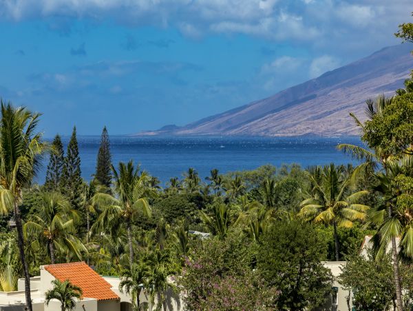 Wailea Condo 978139