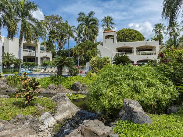 Wailea Condo 978139