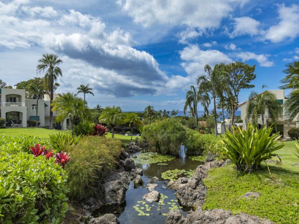 Wailea Condo 978139