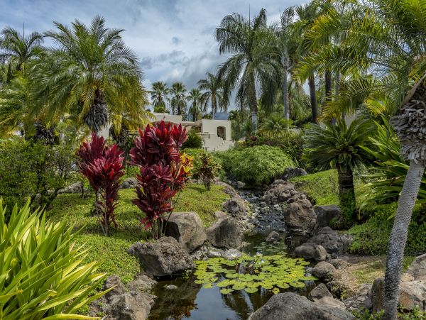 Wailea Condo 978139