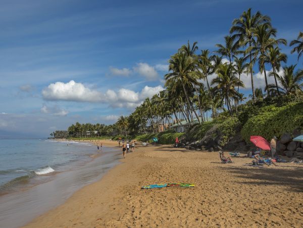 Wailea Condo 978139