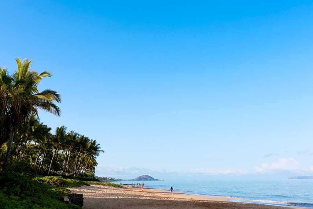 Wailea Condo 978140