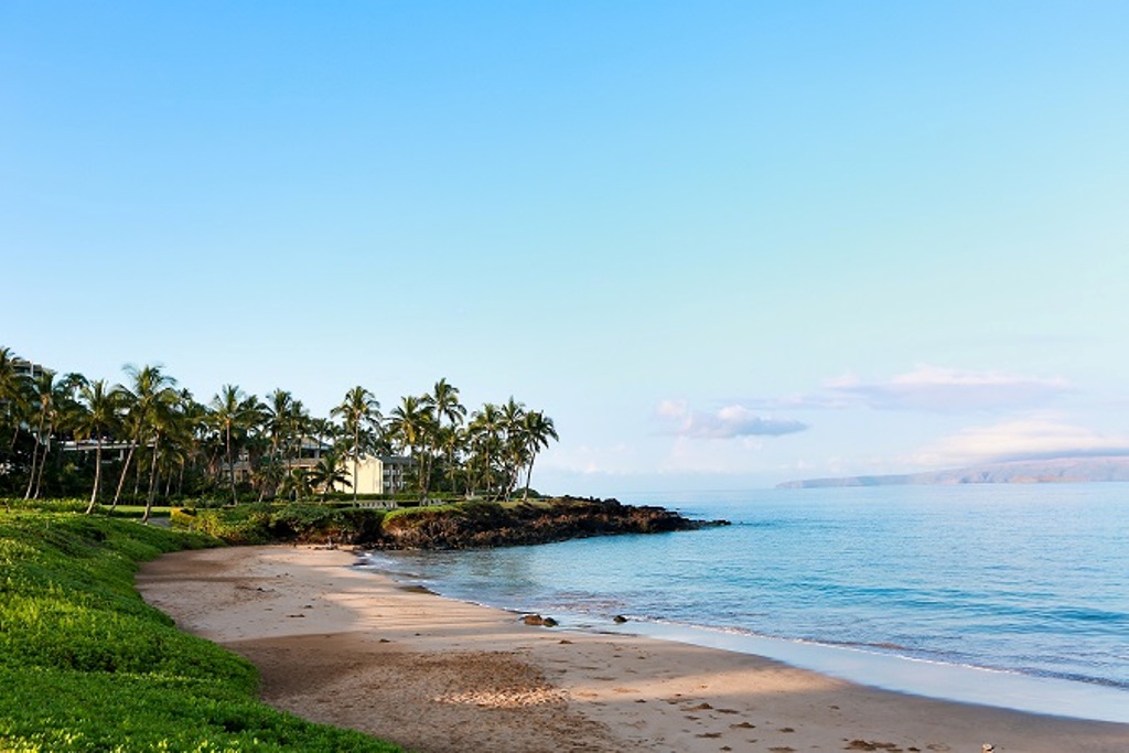 Wailea Condo 978140