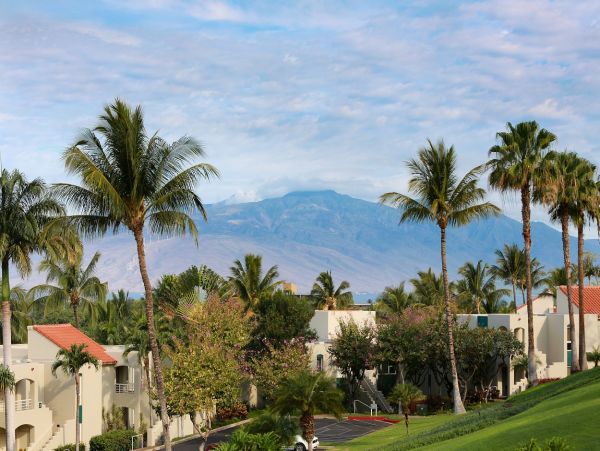 Wailea Condo 978140