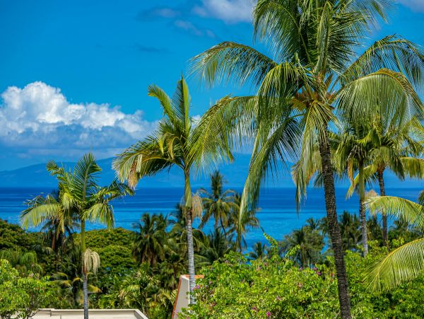 Wailea Condo 978141