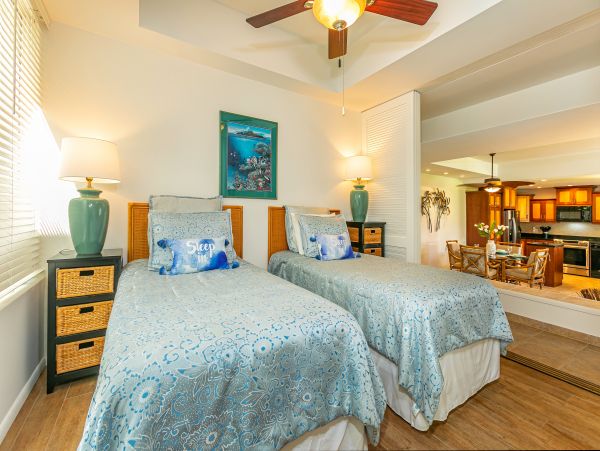 Wailea Condo 978141