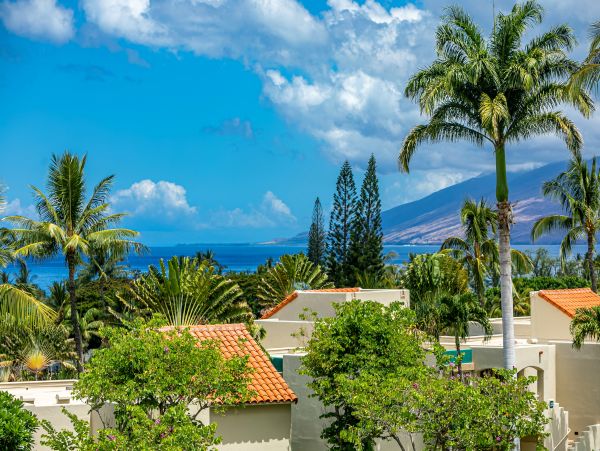 Wailea Condo 978141