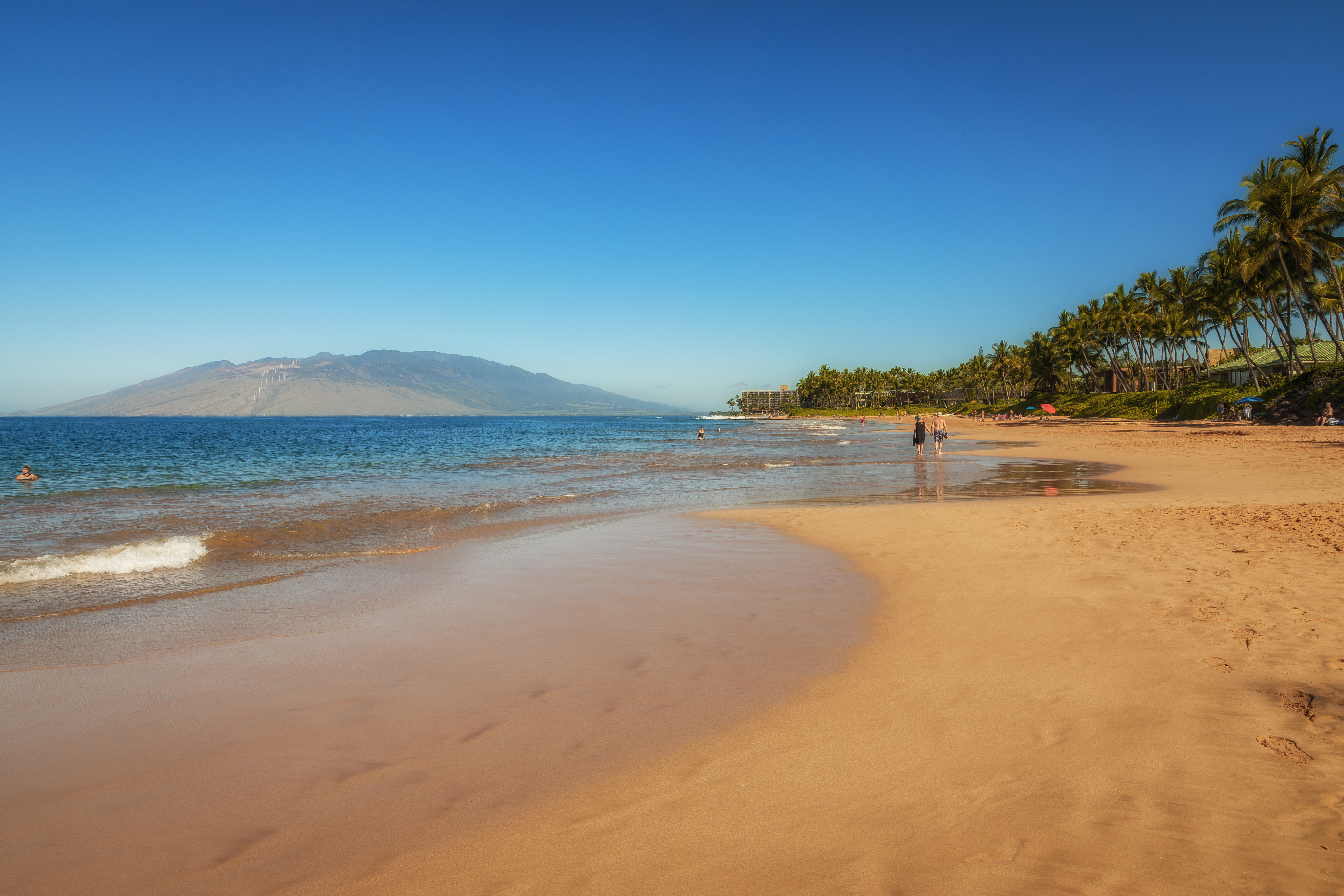 Wailea Condo 978142