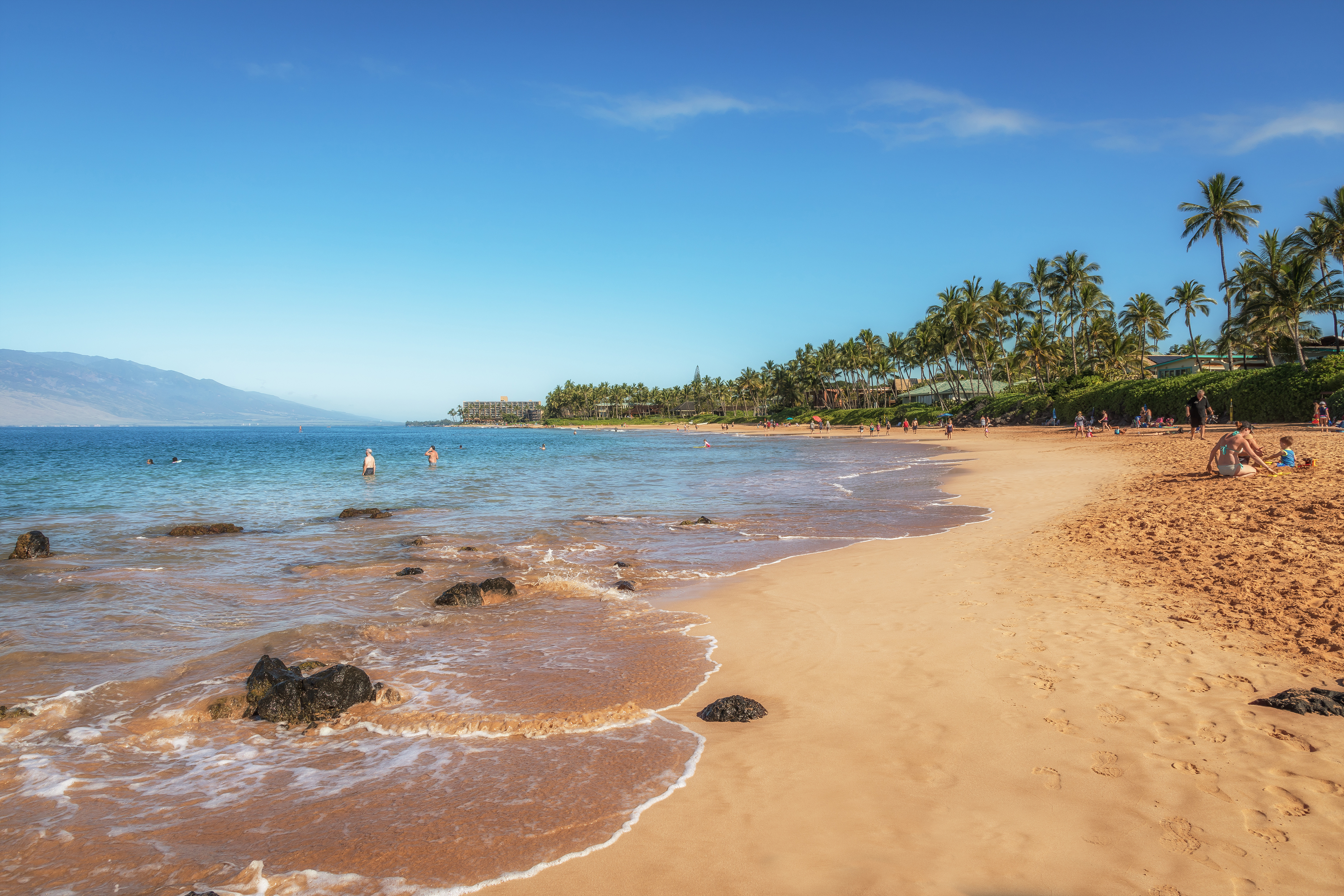Wailea Condo 978142