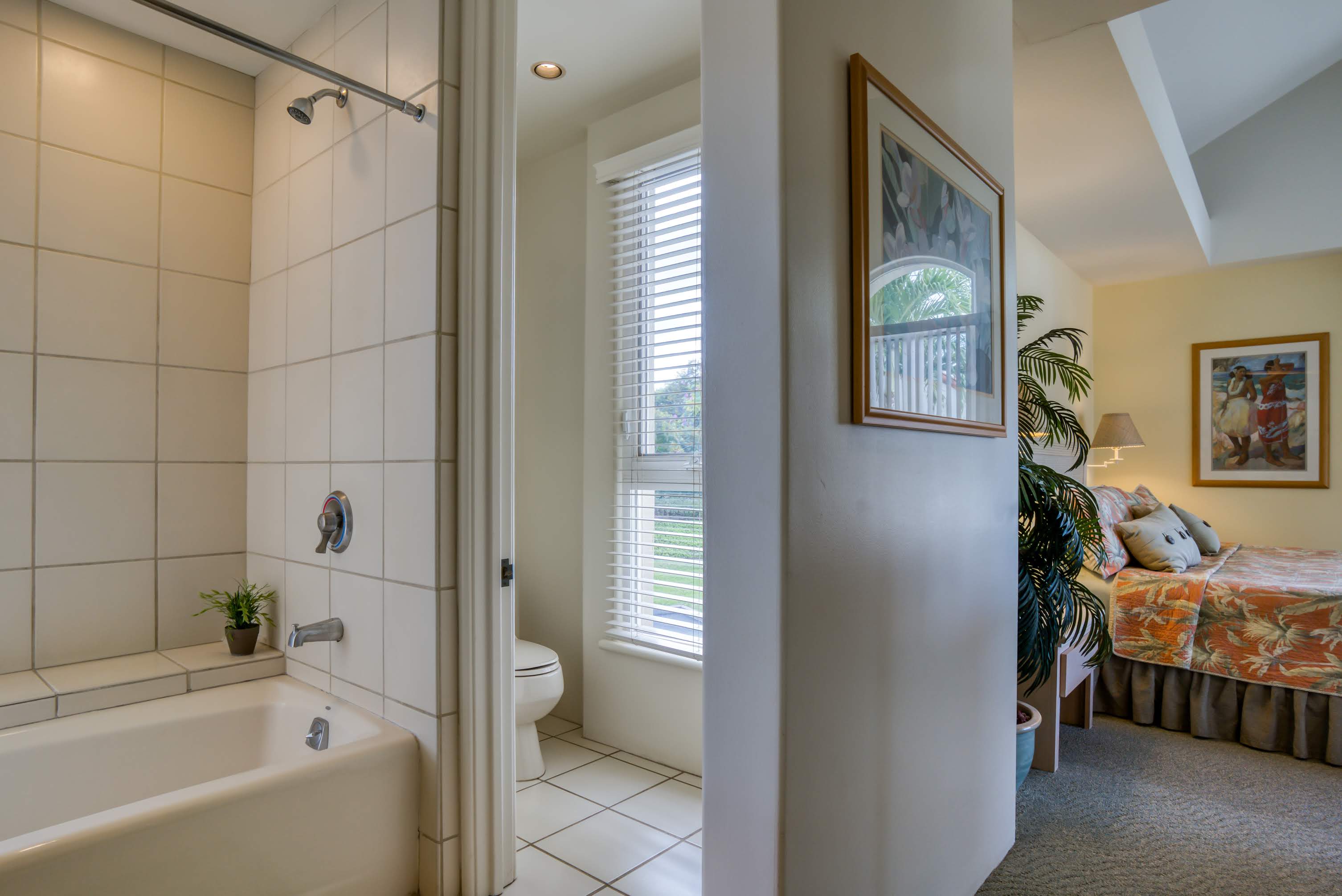 Wailea Condo 978146