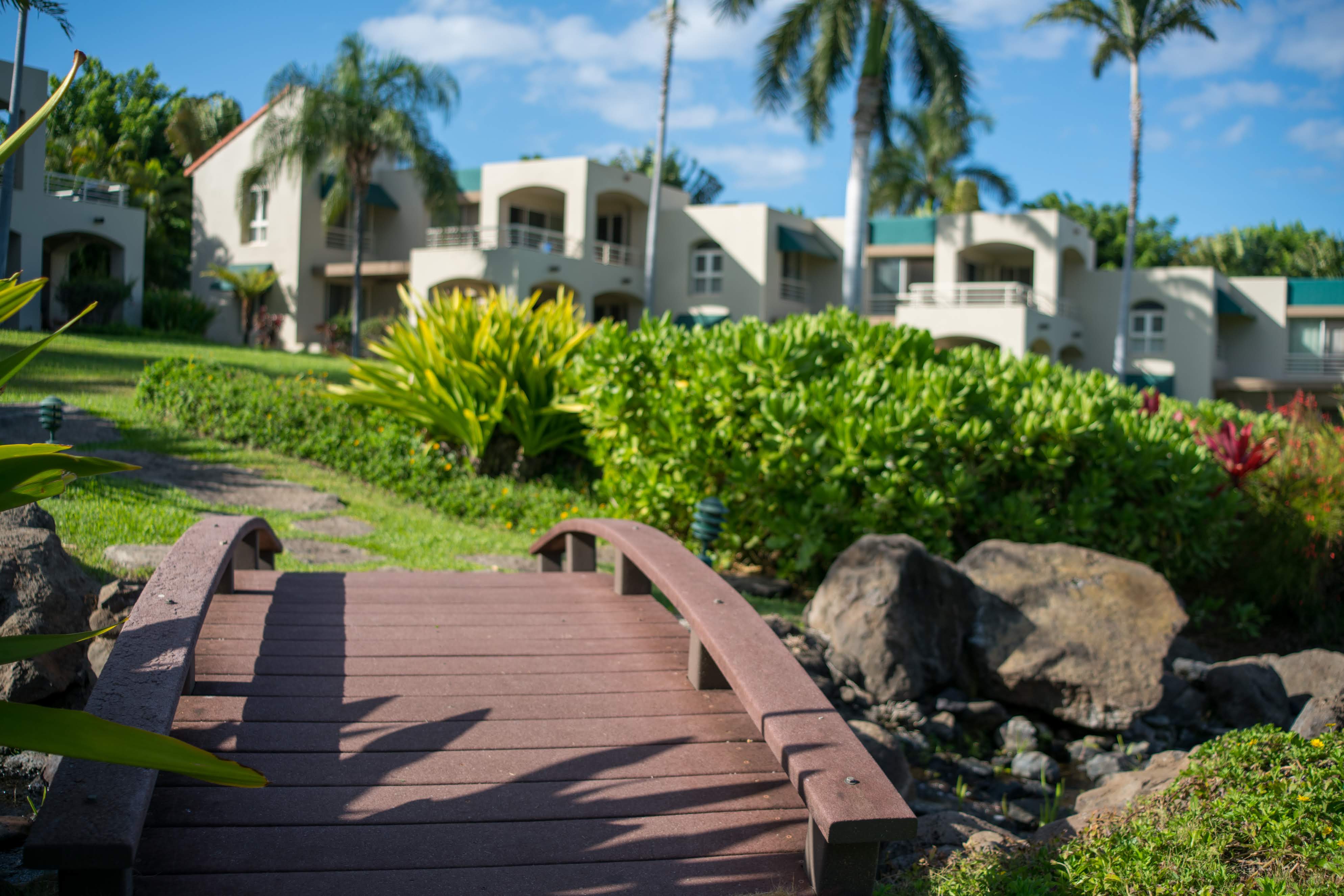 Wailea Condo 978146