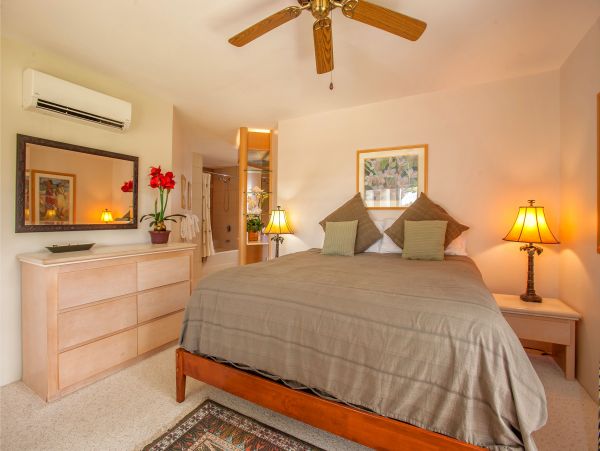 Wailea Condo 978147